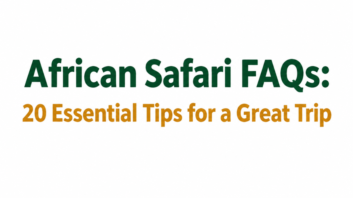 Frequently Asked Questions about an african safari