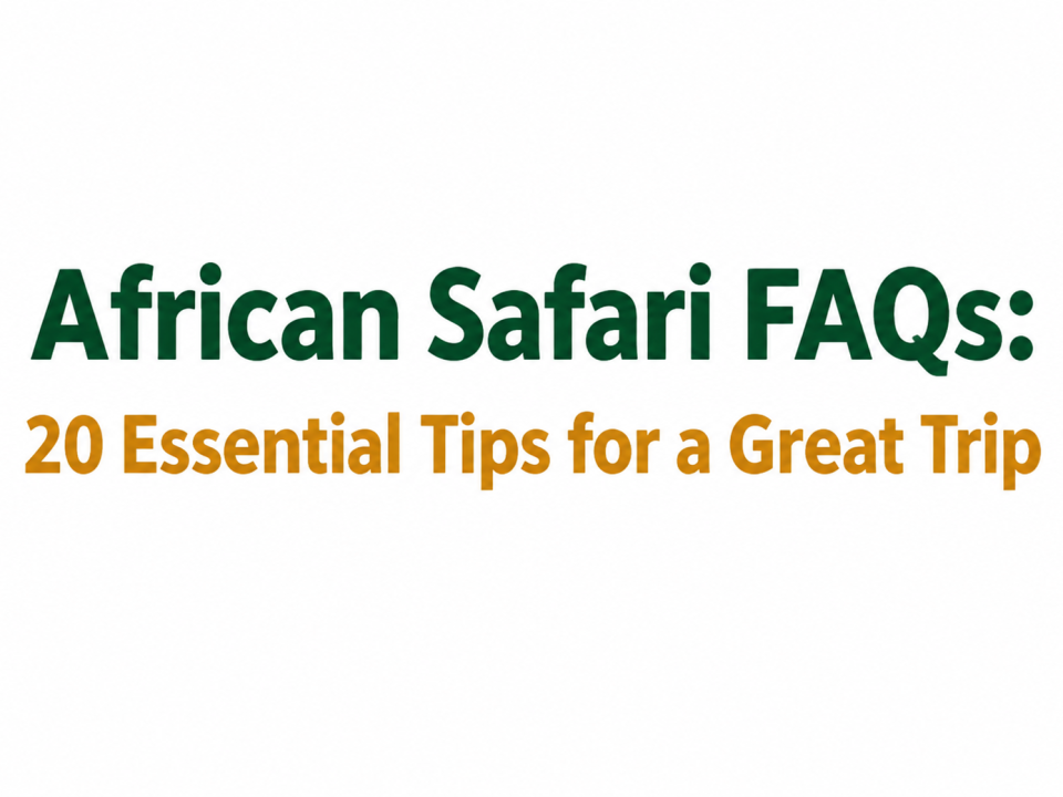 Frequently Asked Questions about an african safari