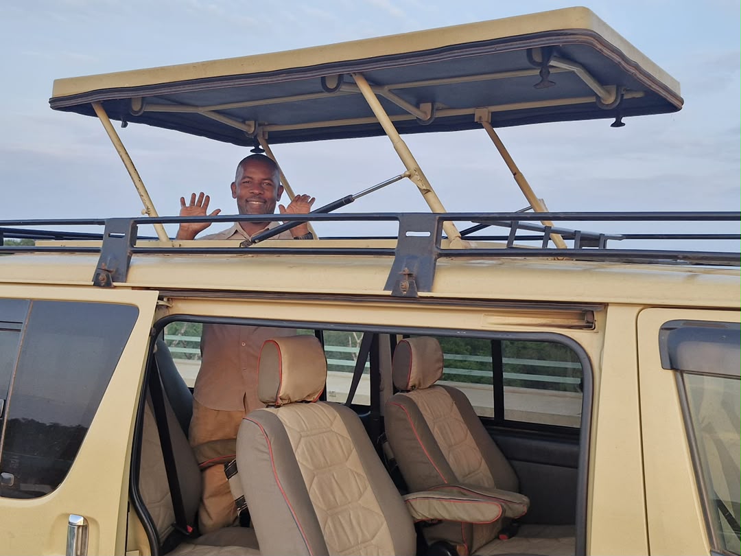 What Happens If My Safari Vehicle Breaks Down in the Bush?