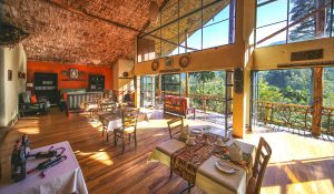 Luxury lodge in Bwindi Uganda for mountain gorilla trekking