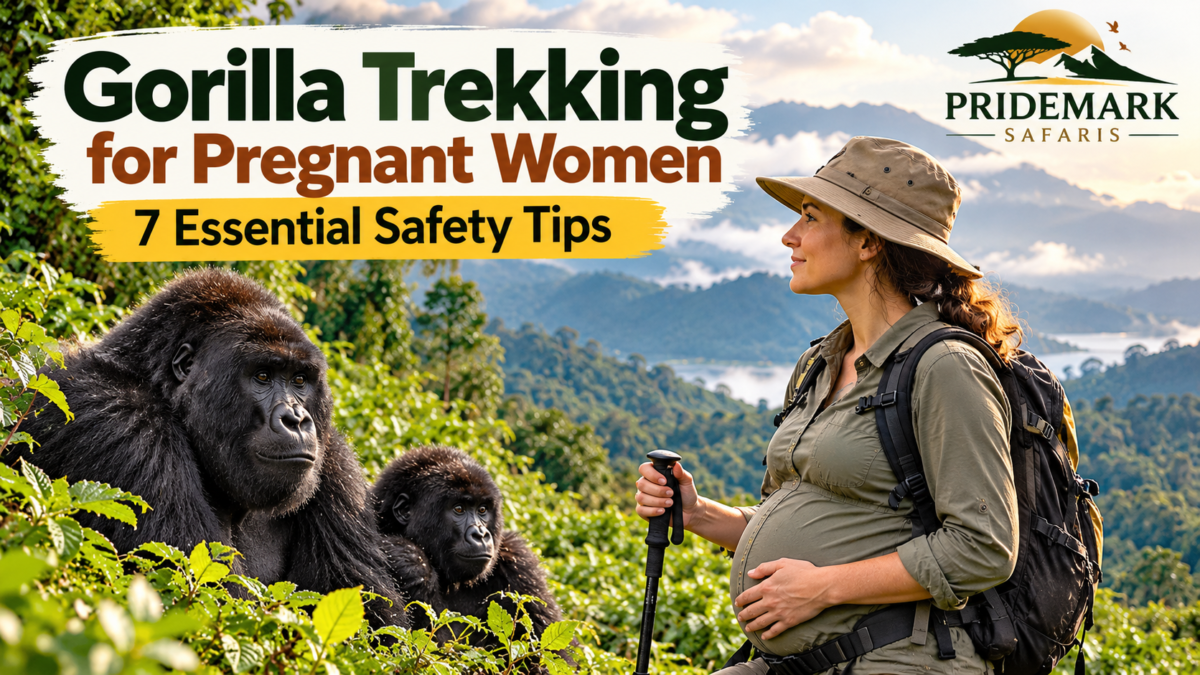 gorilla trekking for pregnant women