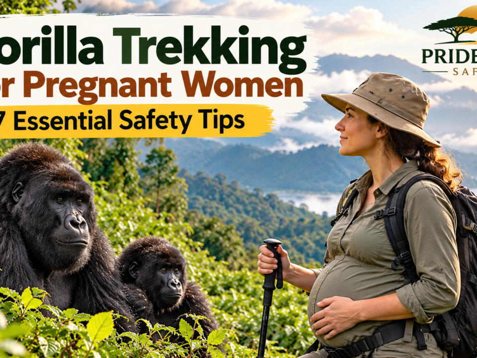 gorilla trekking for pregnant women