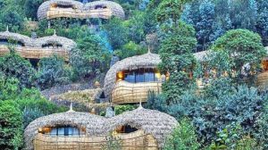 Luxury gorilla lodge near Volcanoes National Park Rwanda